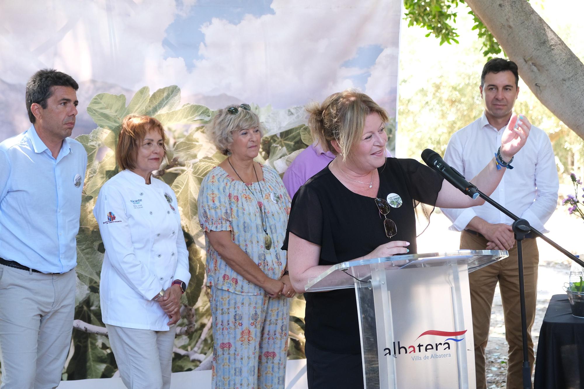 Albatera da inicio a la campaña de la breva con la cocinera María José San Román como madrina