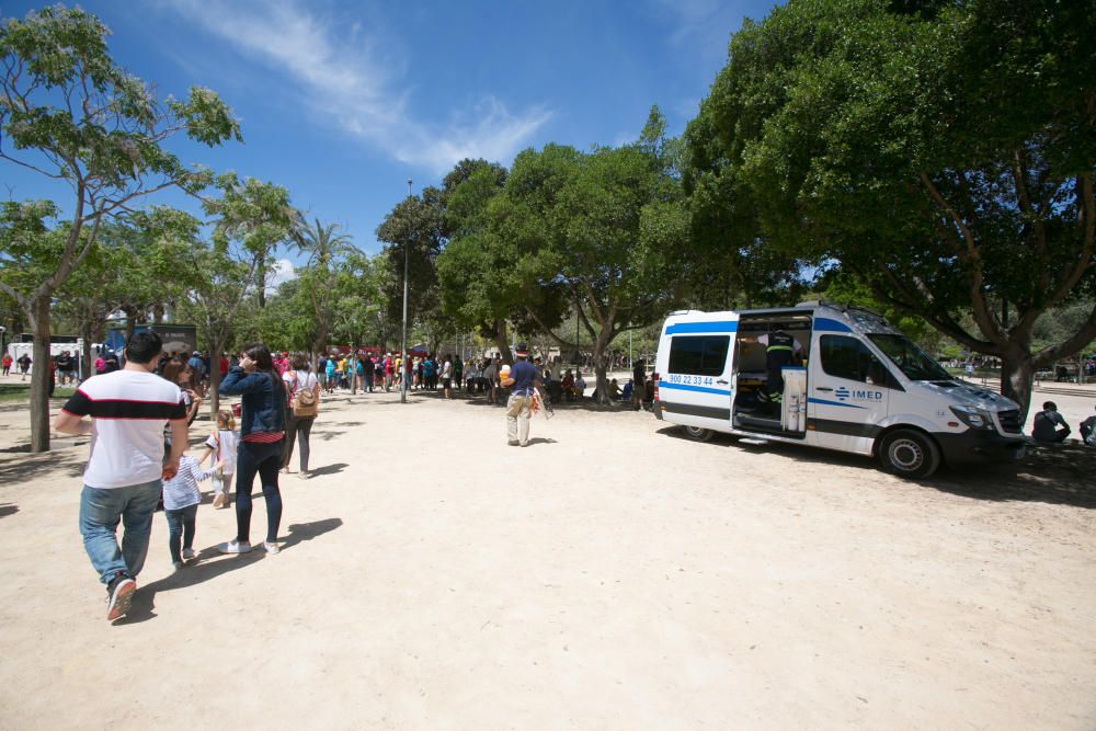 6.000 festeros abarrotan el parque Lo Morant el domingo de paellas.