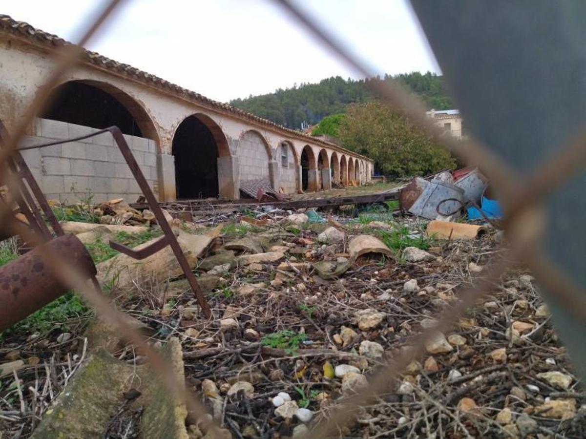 Llíber revoluciona «l’escaldà»: en diciembre y con uva del Vinalopó