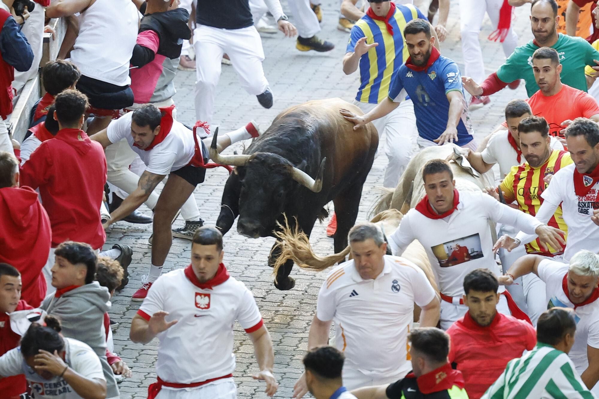 PAMPLONA, 09/07/2025.- Los mozos son perseguidos por uno de los toros de la ganadería Álvaro Núñez durante el tercer encierro de los Sanfermines 2025 este miércoles en Pamplona. EFE/Villar López