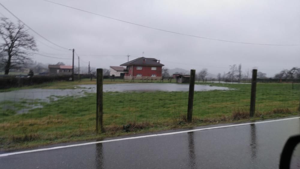 Tiempo en Asturias: Las espectaculares imágenes de las riadas, argayos e incidencias del temporal