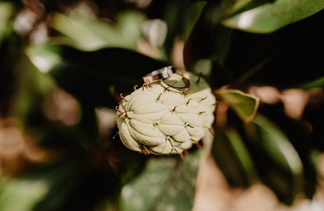 Las fotos más emocionantes de tu álbum de boda: los anillos