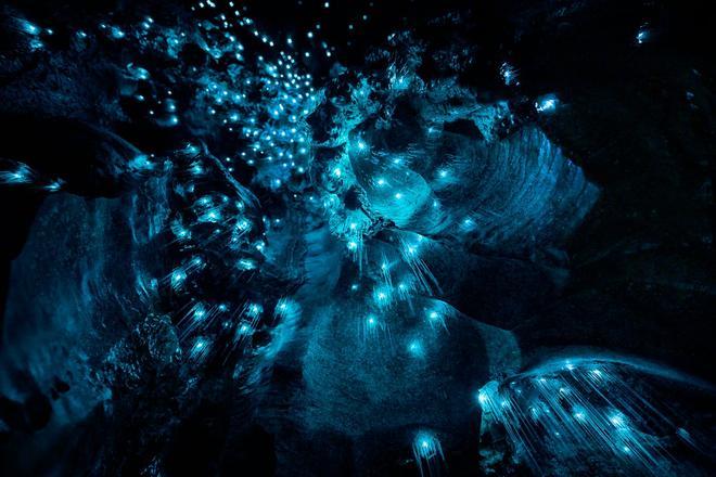 Cuevas de Waitomo, Nueva Zelanda