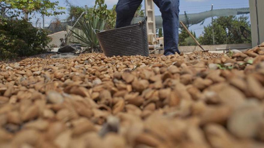 Condenado al causar daños en un edificio en Biar por almacenar almendras en su bajo