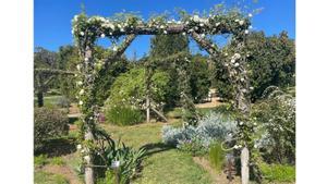 Rutes de primavera: troba els amagatalls en flor de Barcelona