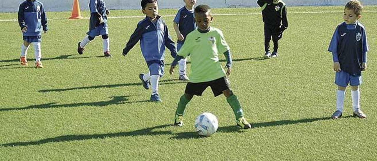 El Atlético Rafal organizó una diada de escuela del año 2015 y 2016.