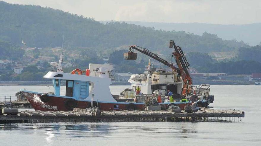 Una batea de mejillón en la Ría de Arousa. // Iñaki Abella