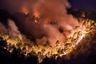 Siete días de infierno en el sur de la Serra