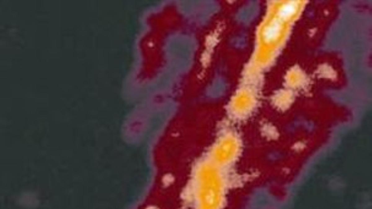 Una neurona vista por microscopía STED.