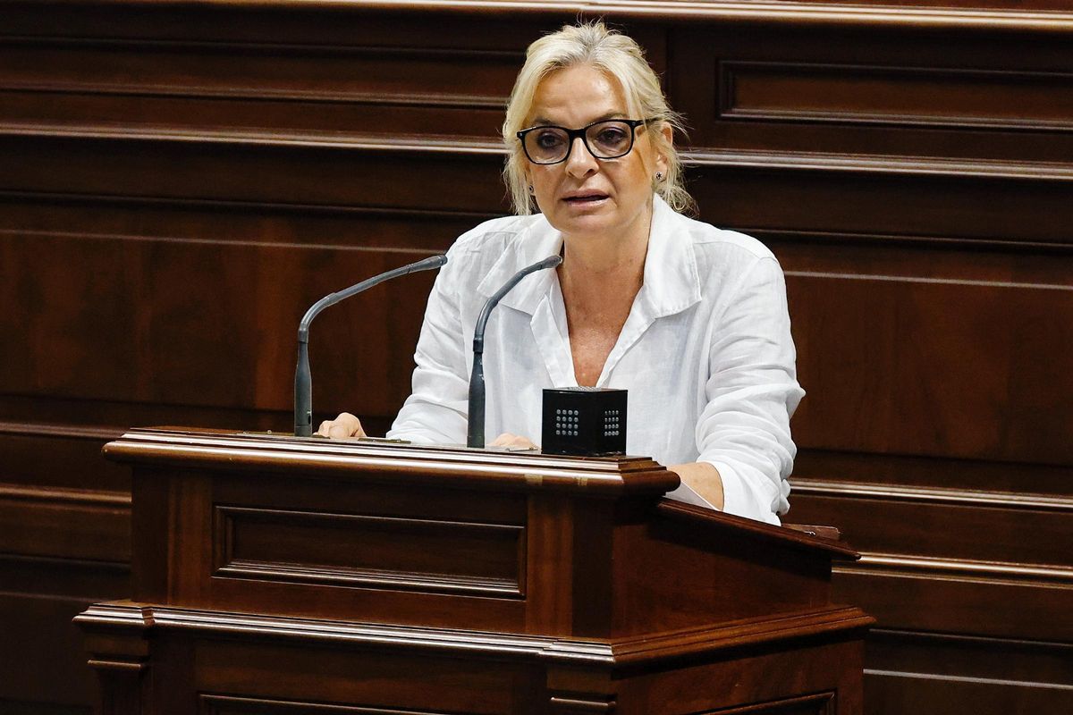 La consejera Esther Monzón durante su turno de palabra