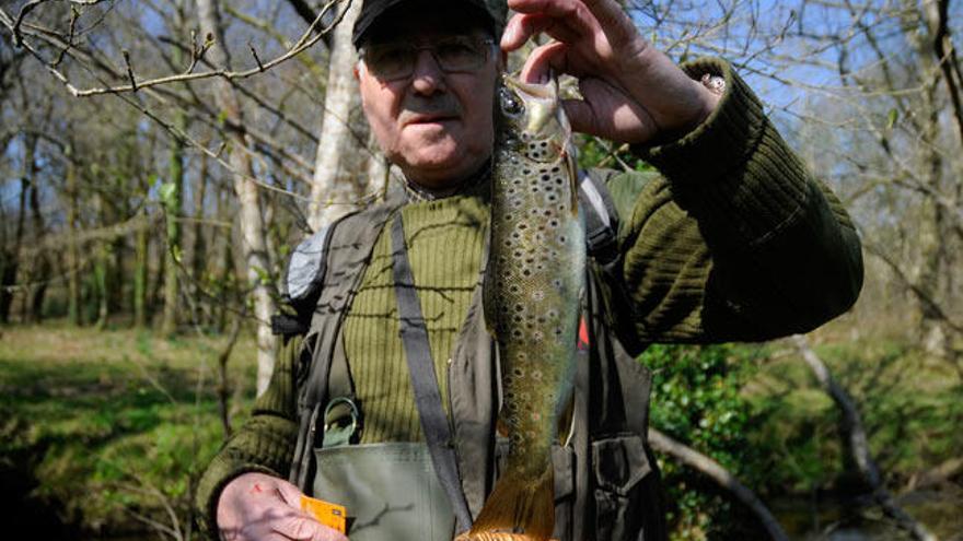 Trucha de 33 cm capturada en el río Liñares // JAVIER LALÍN