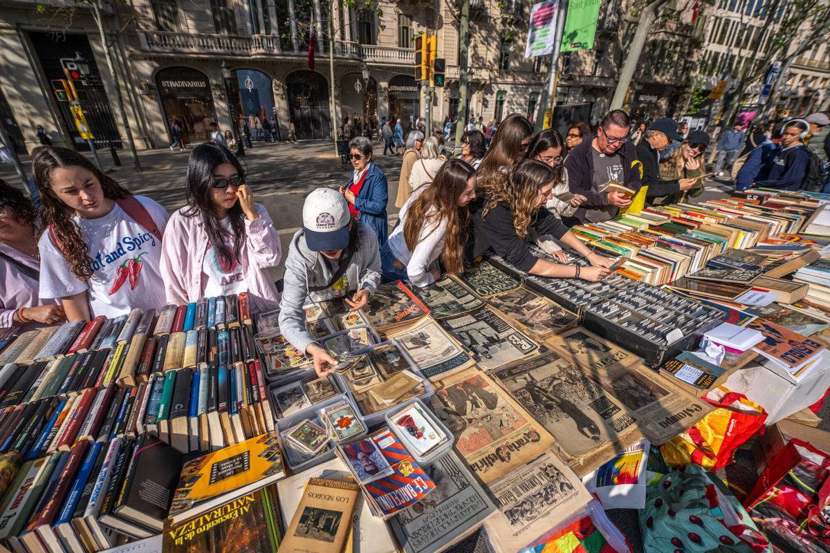 "La publicidad de Sant Jordi podría considerar también el castellano"