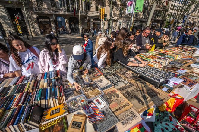 "La publicidad de Sant Jordi podría considerar también el castellano"