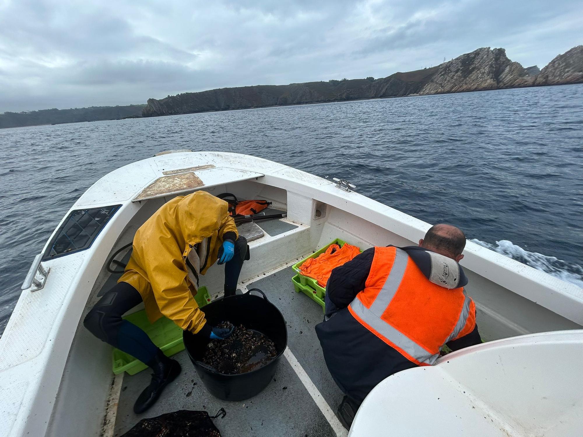 EN IMÁGENES: Así luchan los mariscadores de Luanco por cada kilo de percebe en el cabo Peñas
