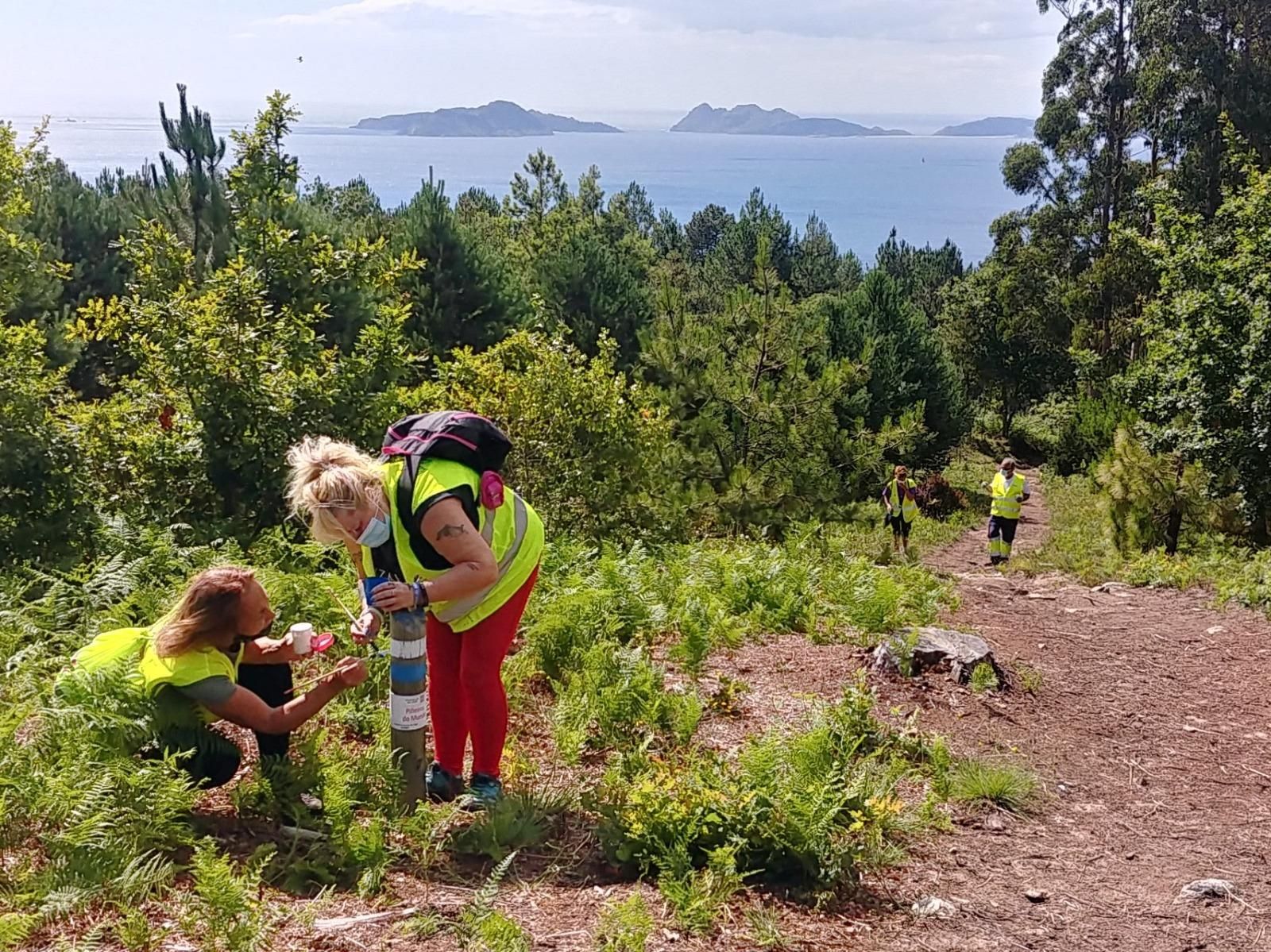 Un Vigo para caminar y perderse: 11 rutas imprescindibles de todos los niveles