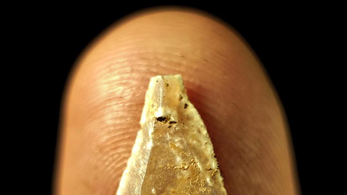 Los humanos modernos usaban en Europa arco y flechas hace 54.000 años.