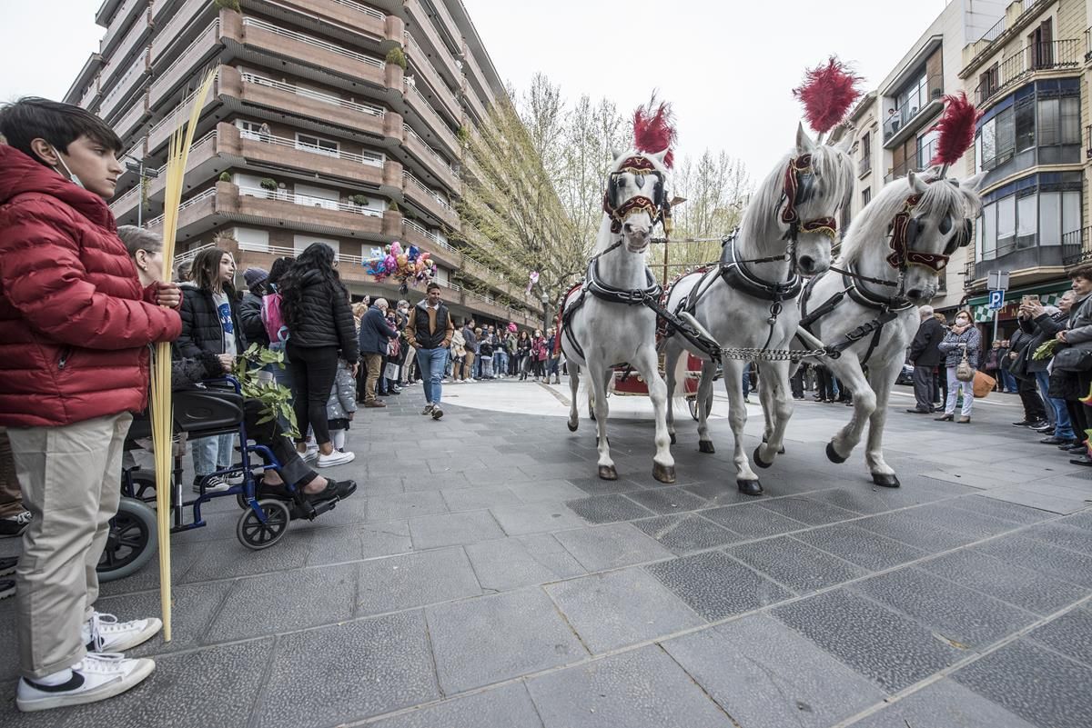 Benedicció de Rams a Manresa