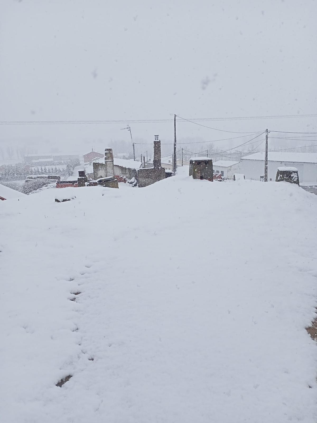 Nieve en El Piñero