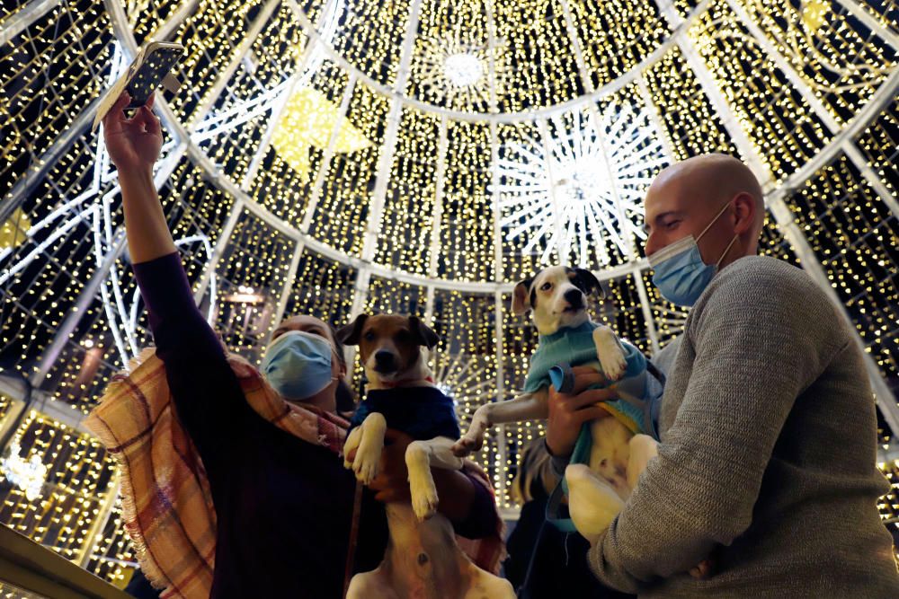 Encendido de las luces de Navidad del Centro de Málaga