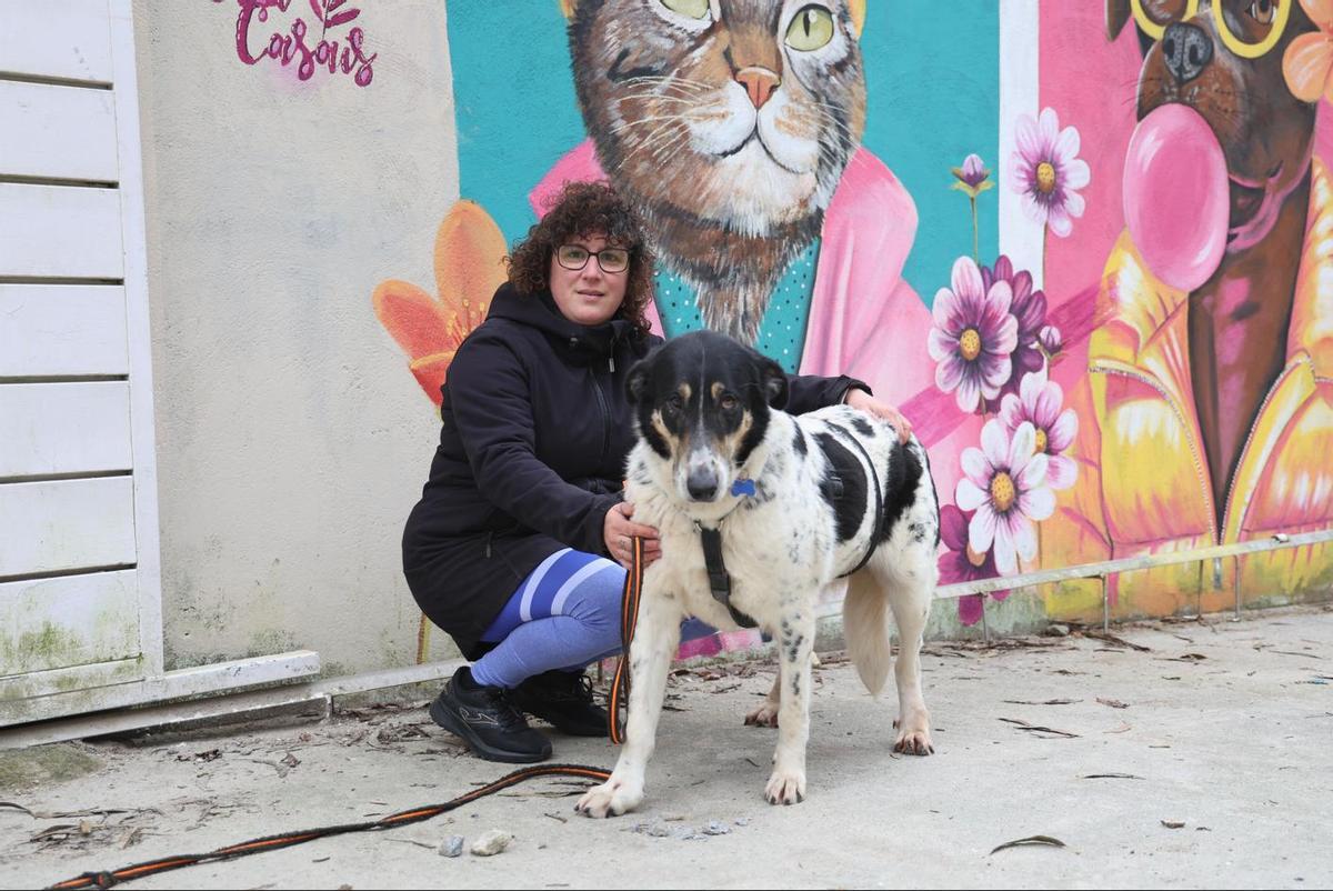 Lana, 8 años. Perra rescatada de una perrera en la que vivió muchos años.