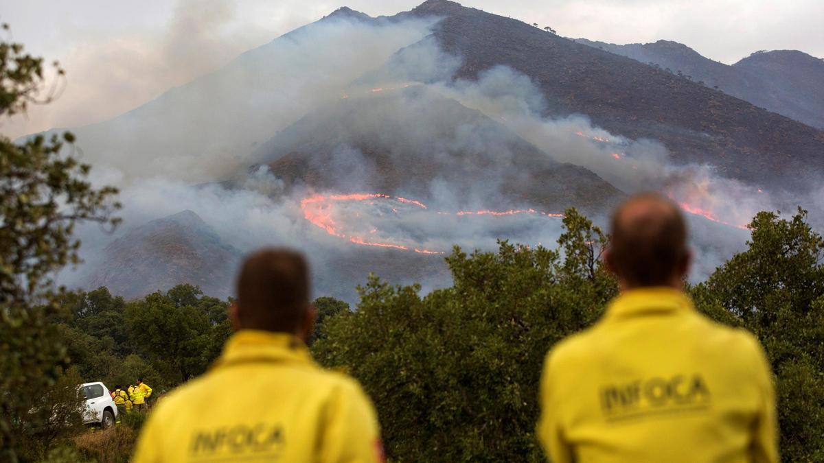 Una imagen del incendio forestal de Sierra Bermeja.