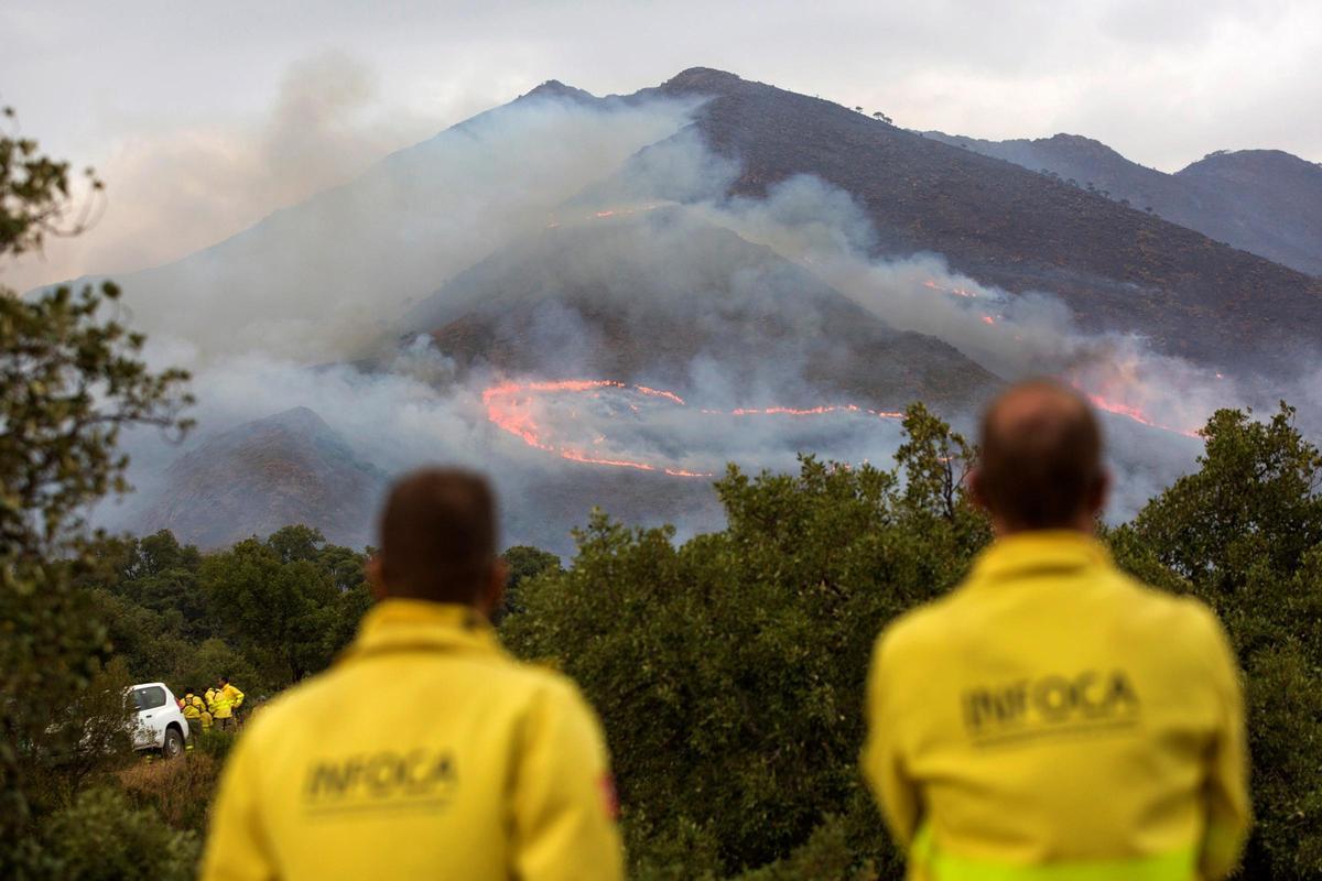 Una imagen del incendio forestal de Sierra Bermeja.