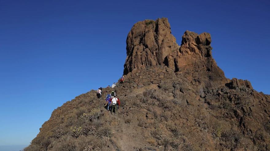 Hallazgo en Canarias: descubren cómo los canarios prehispánicos usaban herramientas de piedra para segar cebada