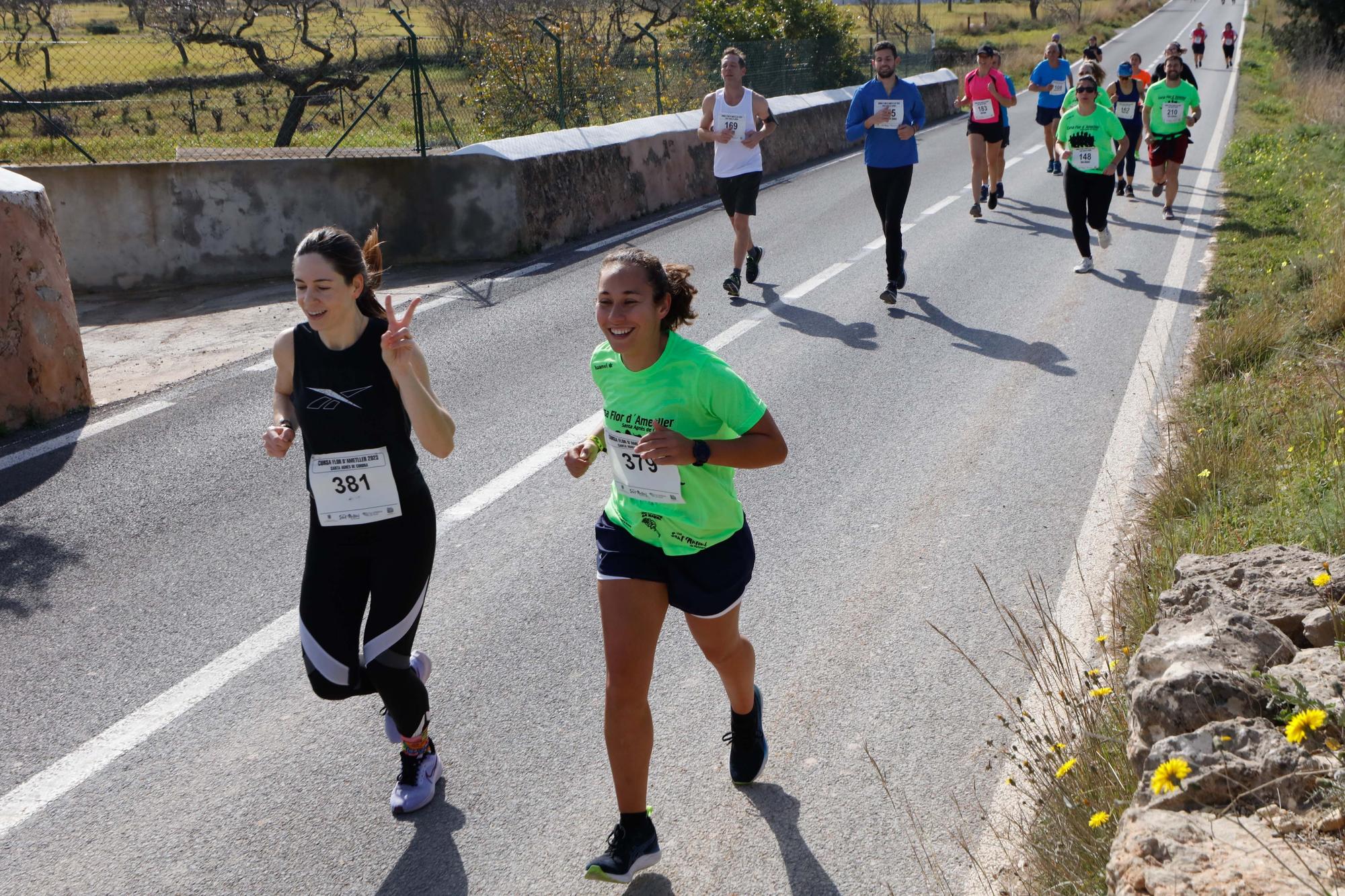 Galería de imágenes de los 250 atletas participantes en la Cursa de la Flor de l’Ametller en Ibiza