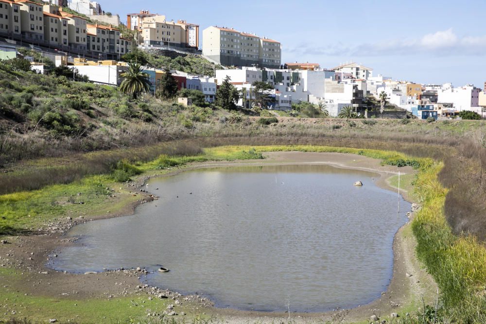 16.11.18. Las Palmas de Gran Canaria. Charcos de ...