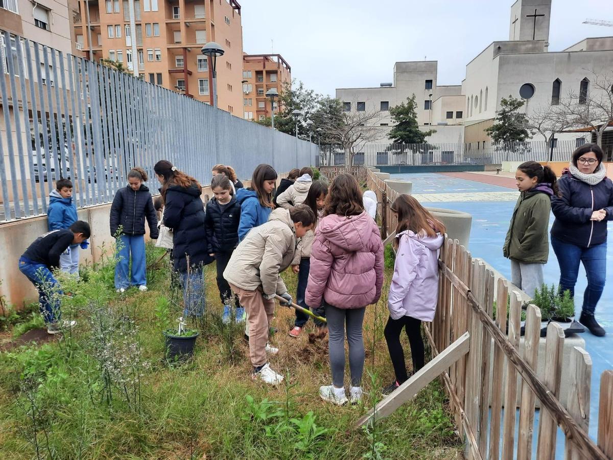 El alumnado, plantando especies.