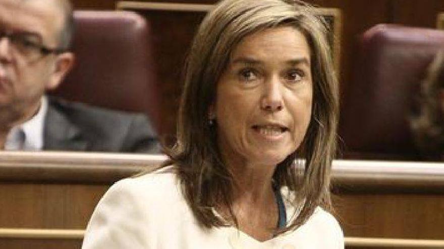 Mato insiste en el Congreso en que &quot;lo más preocupante&quot; de la violencia de género es no denunciar los malos tratos