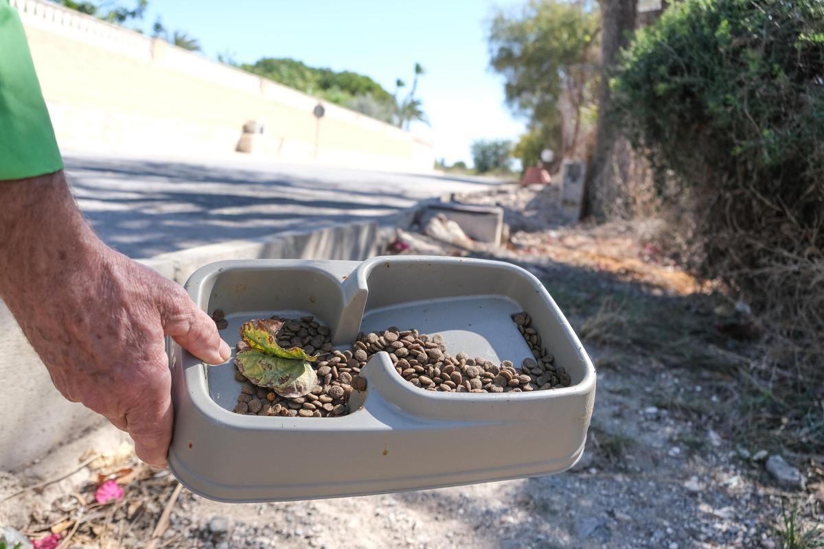 Imagen de archivo de un comedero de gatos.