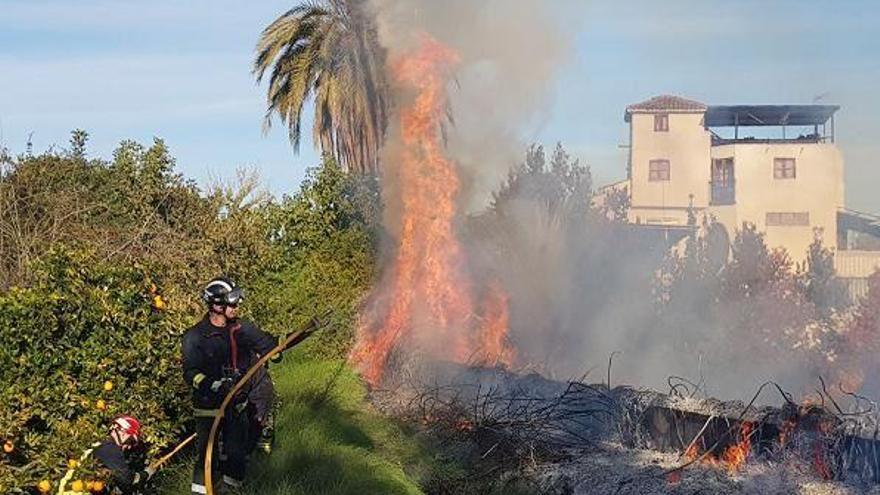 &#039;Lengua de fuego&#039; en una huerta de Los Dolores