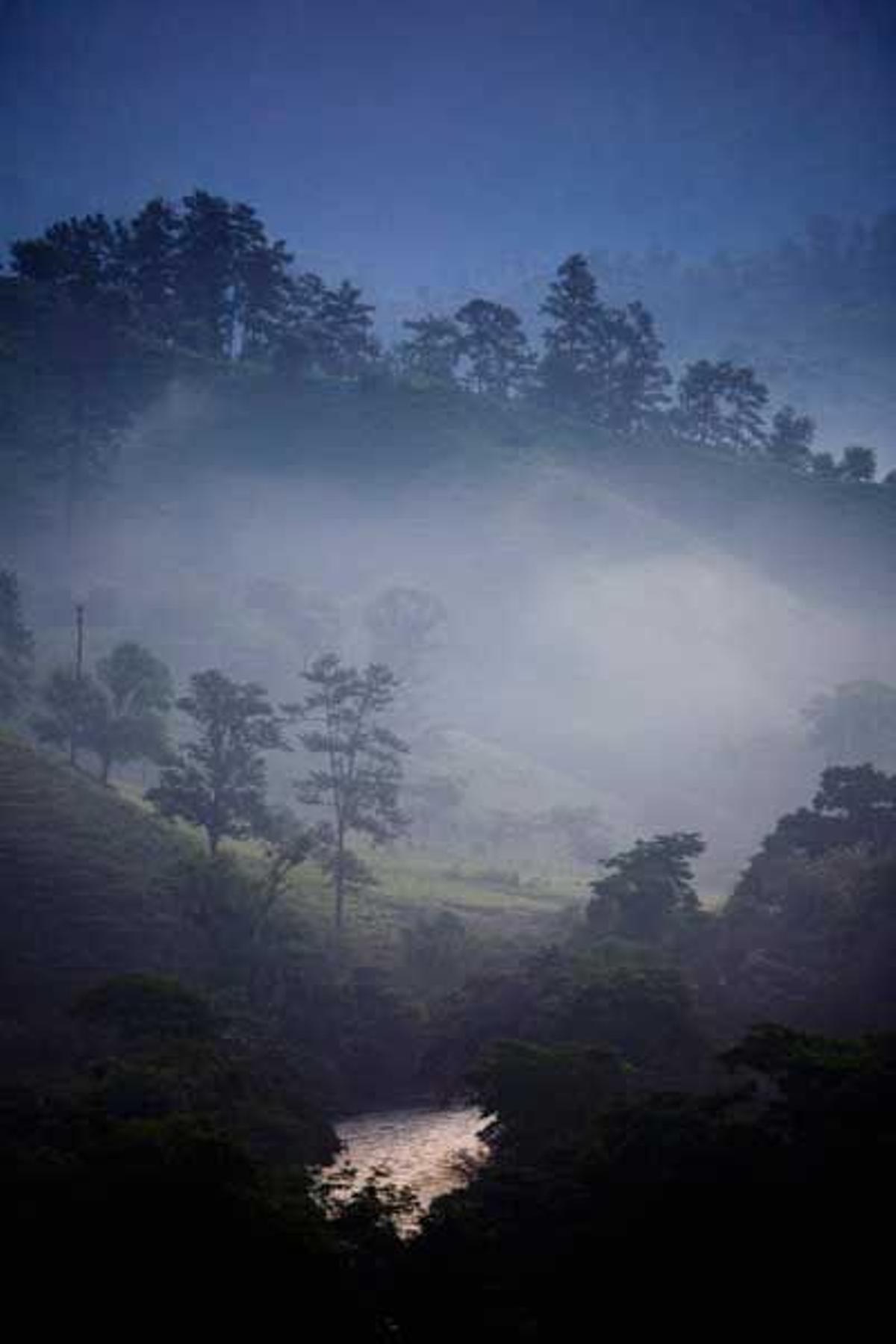 Bosque en el departamento de Alta Verapaz