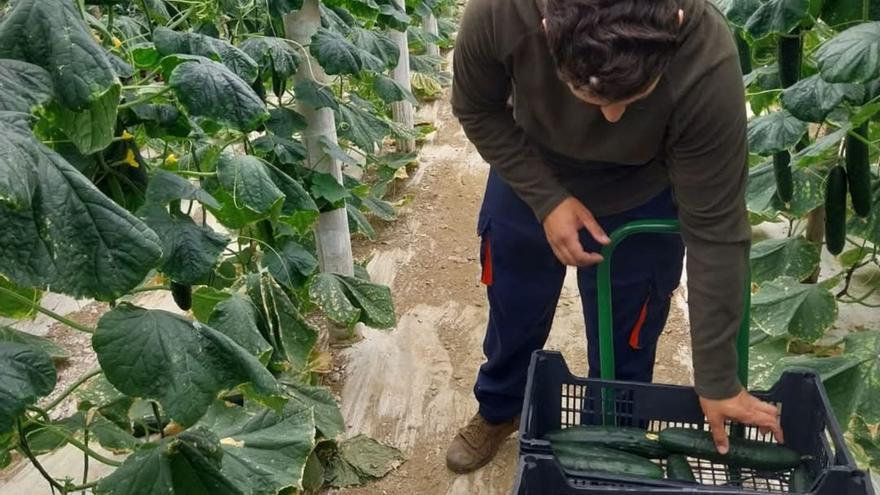 Málaga busca la receta que garantice el relevo generacional en el campo