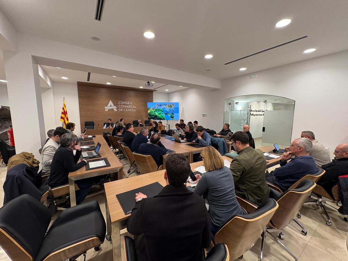Ple del Consell Comarcal de l'Anoia en que es va aprovar el Pla Estratègic de Turisme de l’Anoia 2026-2030