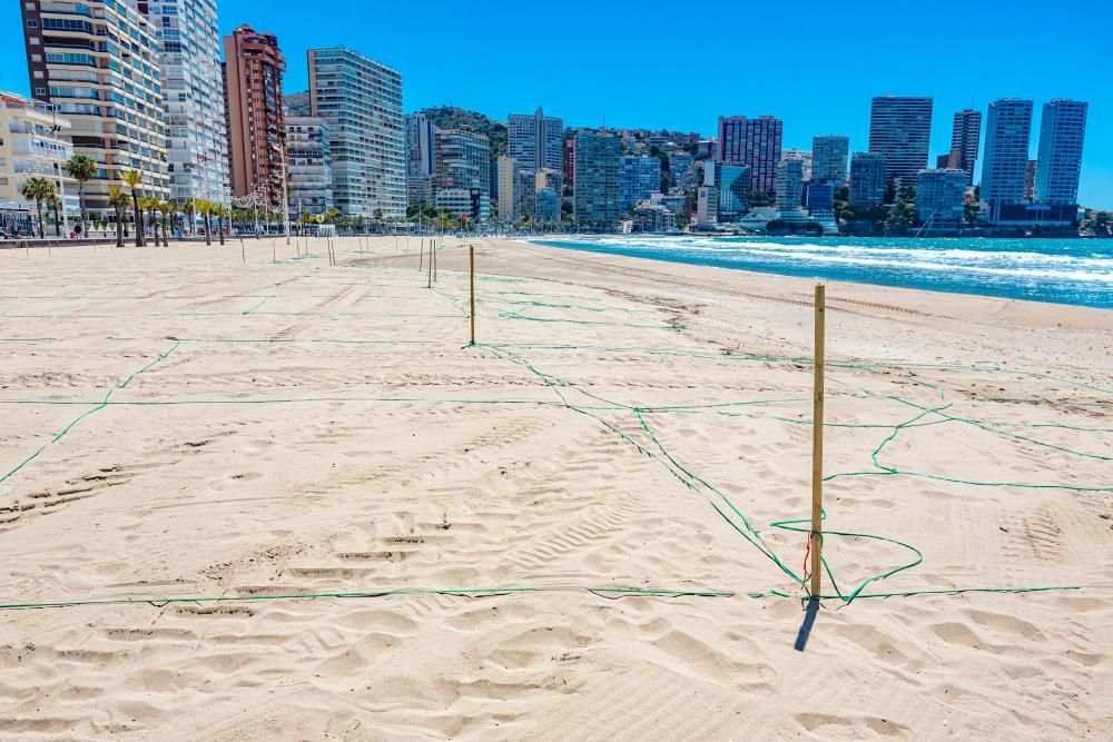 Benidorm prepara la apertura de sus playas con la parcelación