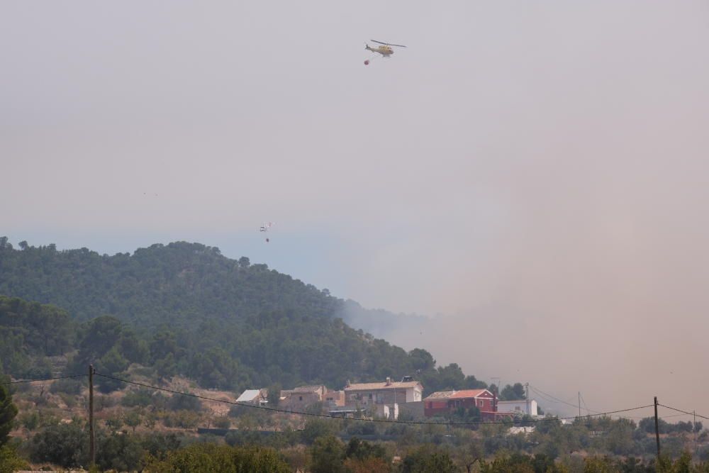 El fuego se ha originado al mediodía en la pedanía de La Romaneta y amenaza con extenderse por el monte y afectar a varias casas de campo.