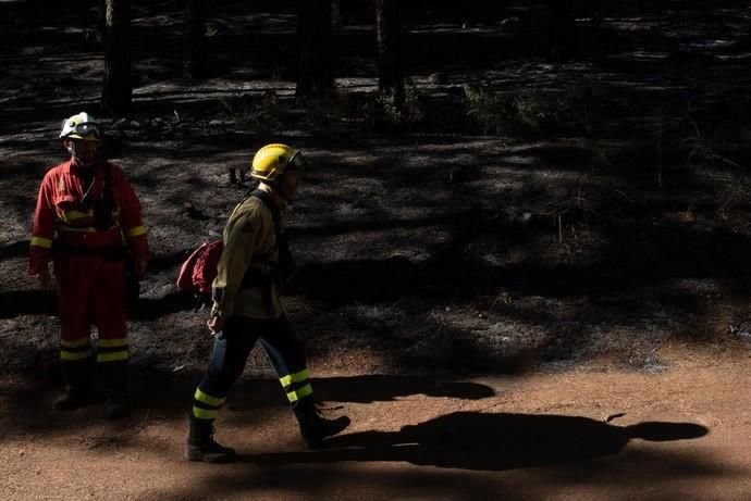 La UME realiza prácticas de prevención de incendios en Gran Canaria
