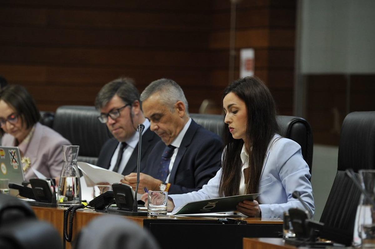 Inés Checa, portavoz de Vox en la Asamblea, junto al diputado y senador Ángel Pelayo Gordillo.