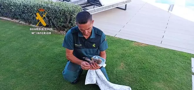 Rescatan un cernícalo atrapado en una chimenea de Benahavís