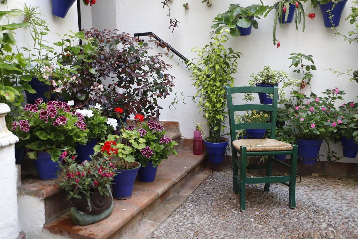 La ruta de los patios de San Lorenzo, en imágenes