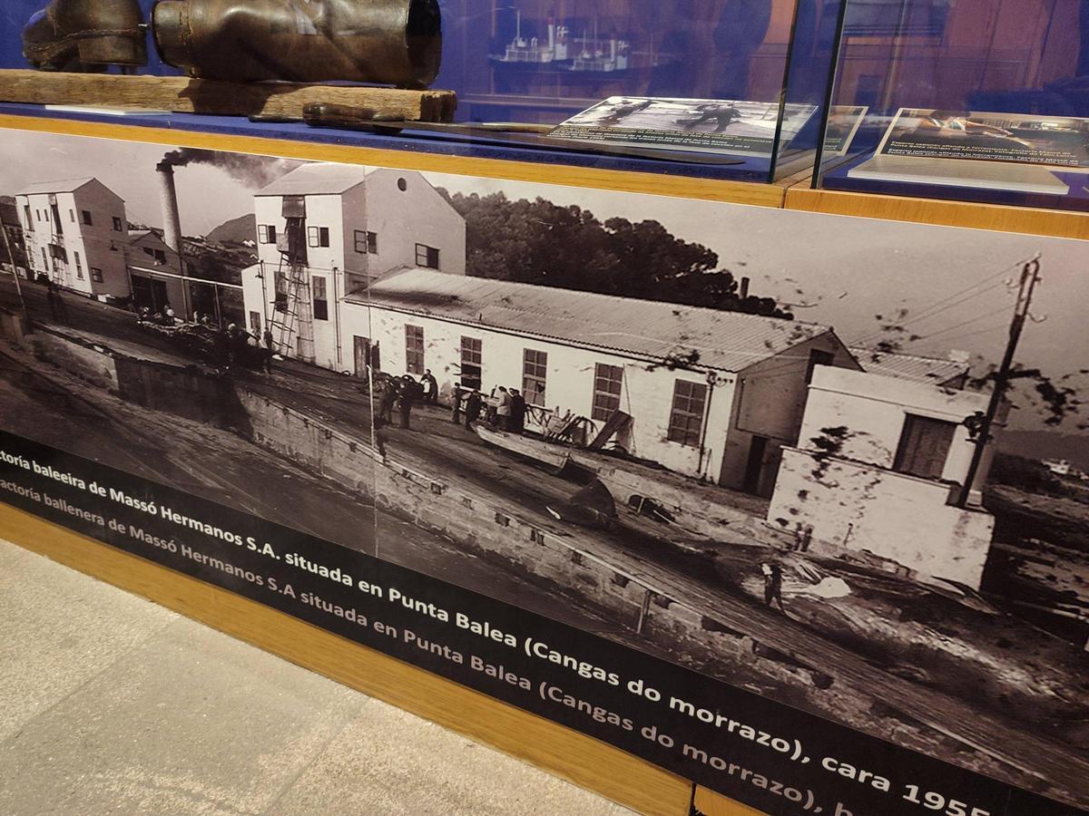 La sala dedicada a la caza de la ballena en el Museo Massó de Bueu