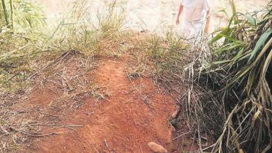 El patrimonio agrícola, un recurso turístico en Nules