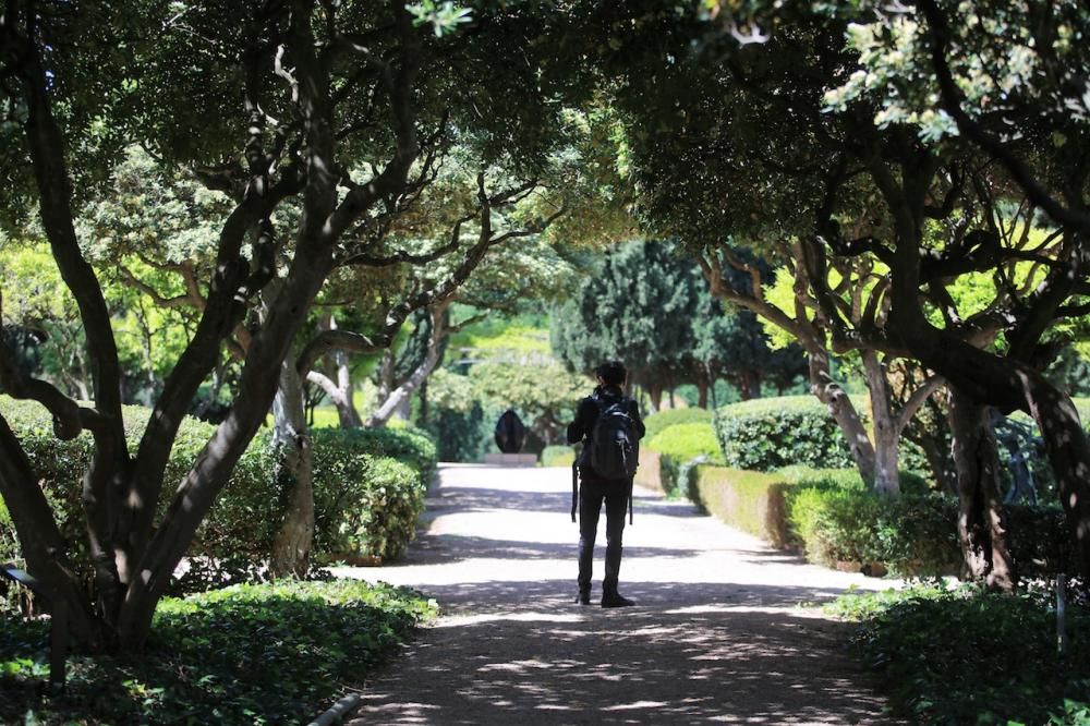 El Govern anuncia la apertura de los jardines de Marivent