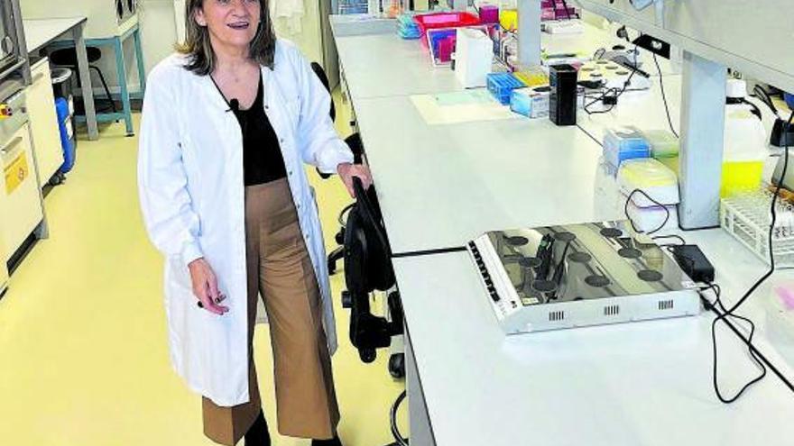 María José Alonso, en el laboratorio. |   // USC