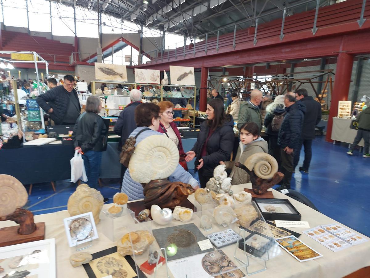 En imágenes: Éxito de la primera feria de fósiles, meteoritos y minerales de Vegadeo