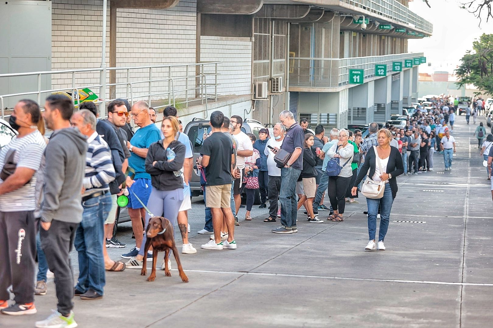 Colas para una entrada del Tenerife - Girona