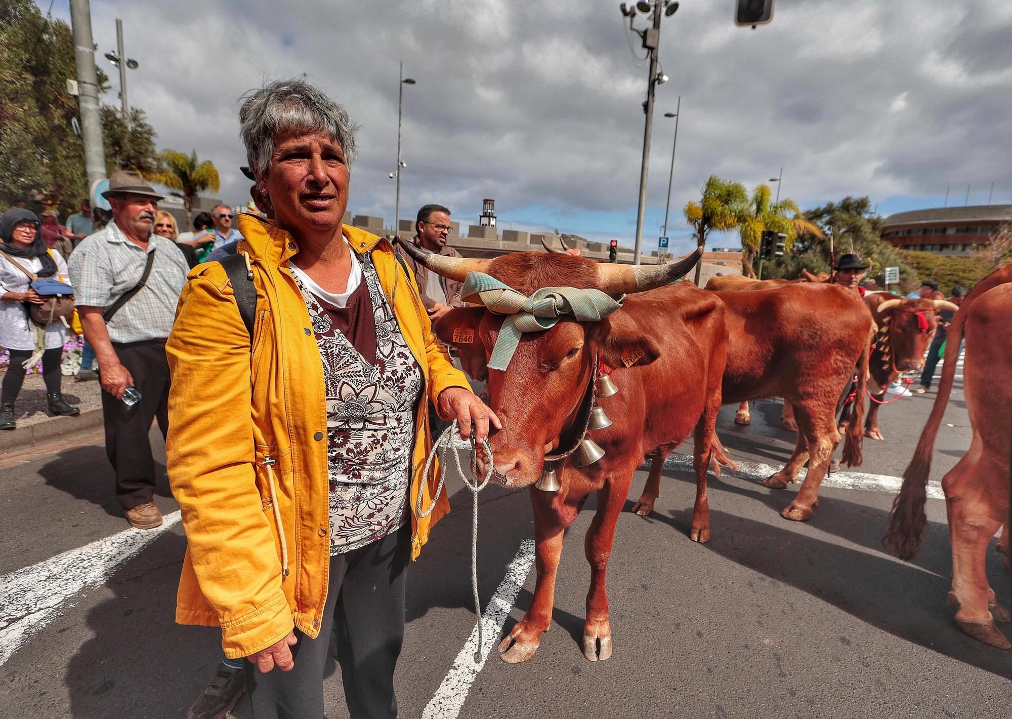 El sector agrario protesta en las calles de Santa Cruz