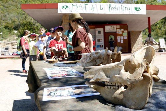 Escolars a les Coves del Toll de Moià